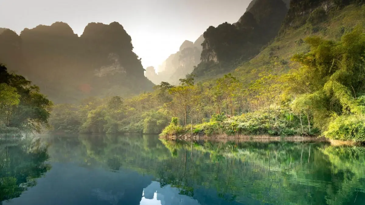 独特可靠性高质量
